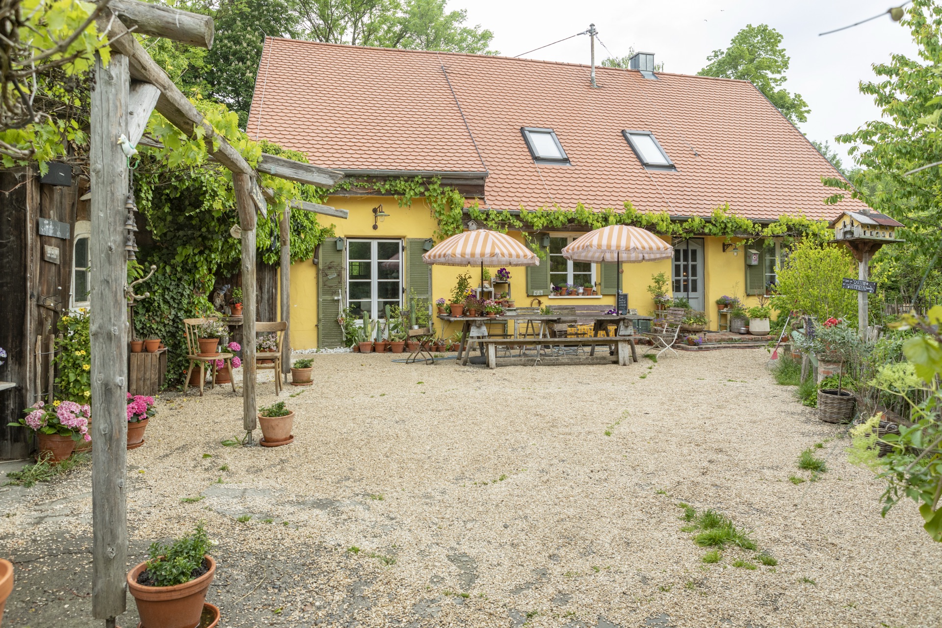 Gepflasterter Innenhof mit langer Holztafel, gestreiften Sonnenschirmen und Weinlaub-Pergola vor dem gelben Bauernhaus