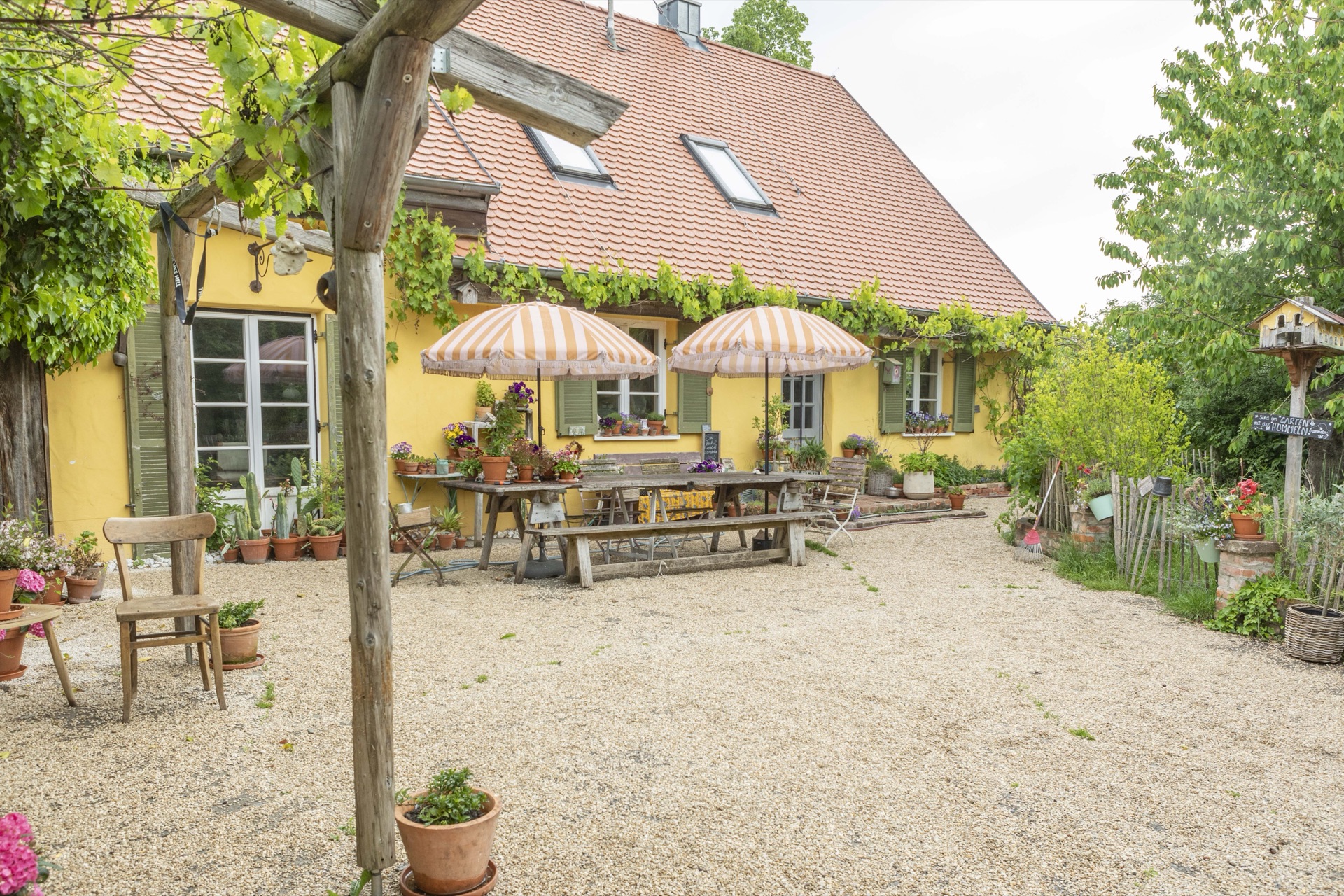 Lange Holztafel mit gestreiften Sonnenschirmen im Kieshof vor dem gelben Haus