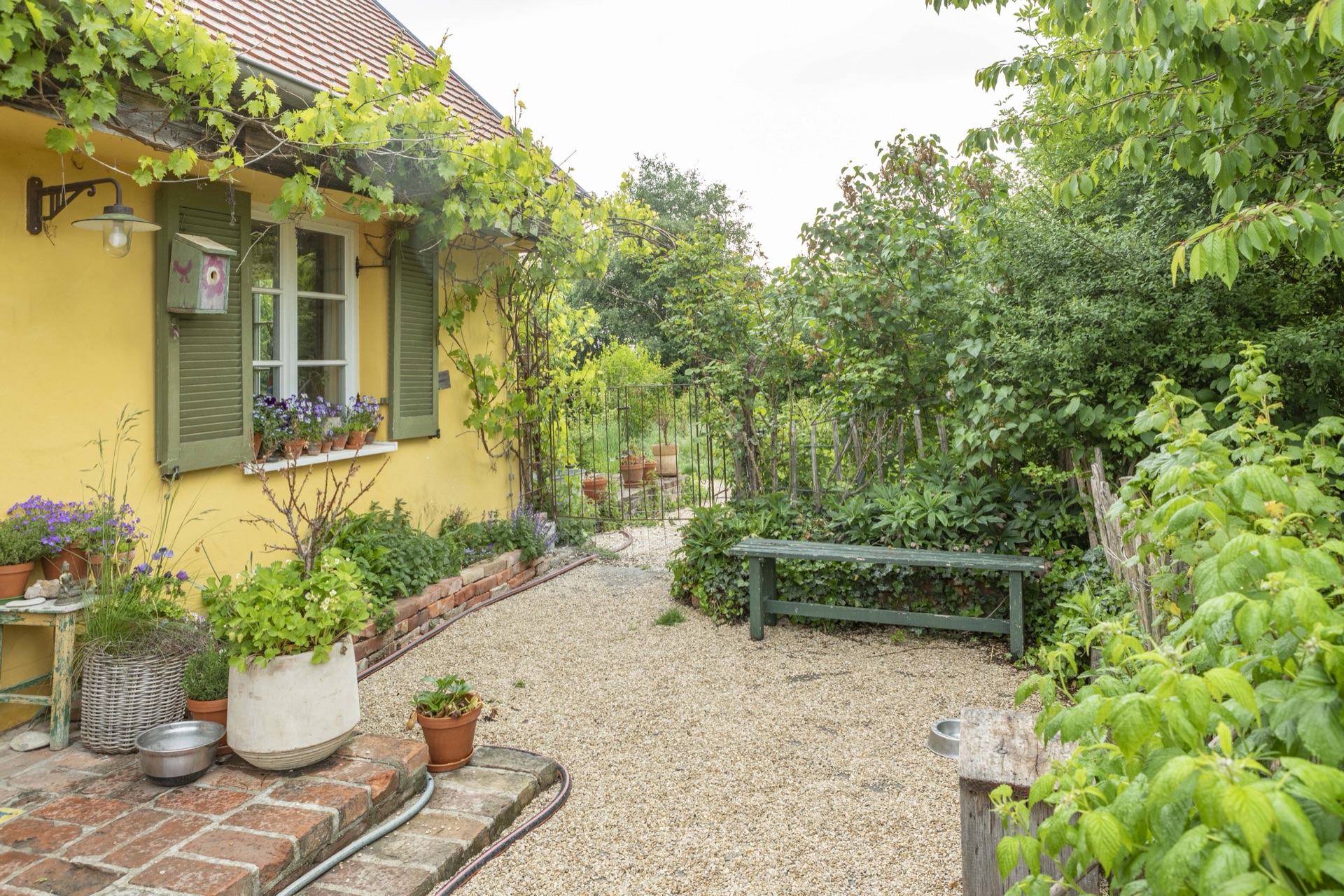 Lauschige Gartenecke an der gelben Hauswand mit grüner Bank, Lavendel in Töpfen und Backsteinweg