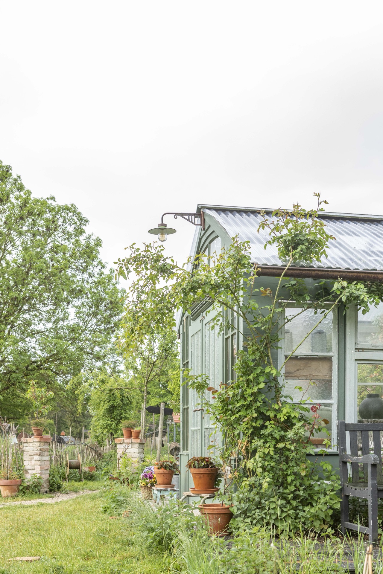 Grünes Gartenhaus mit Stalllaterne und kletternder Rose, Kiesweg entlang der Wiese